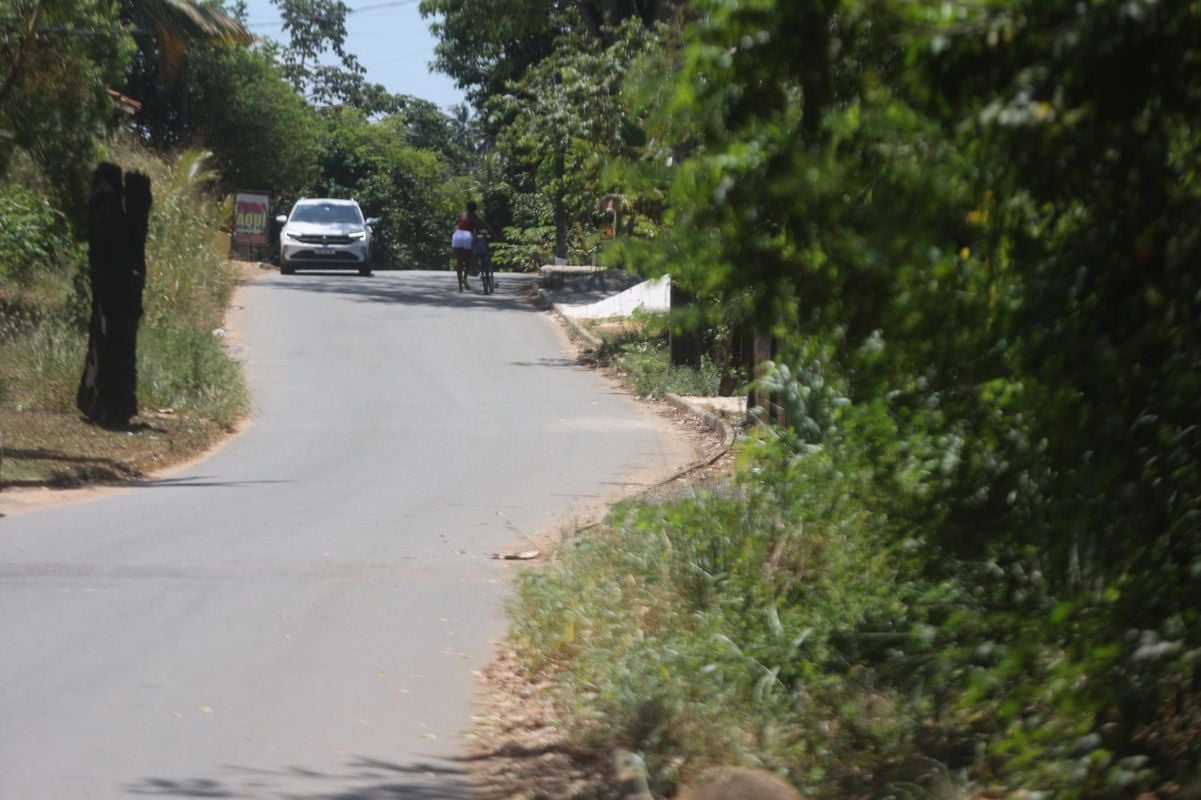 Estrada da Cascalheiras: trecho perigo tem várias curvas e é cercado por mata 