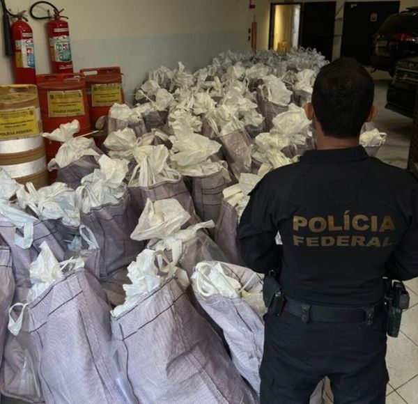 As drogas foram encontradas no Porto de Santos