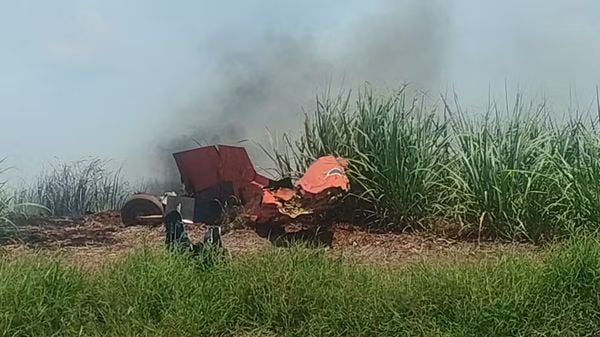 Avião caiu em canavial