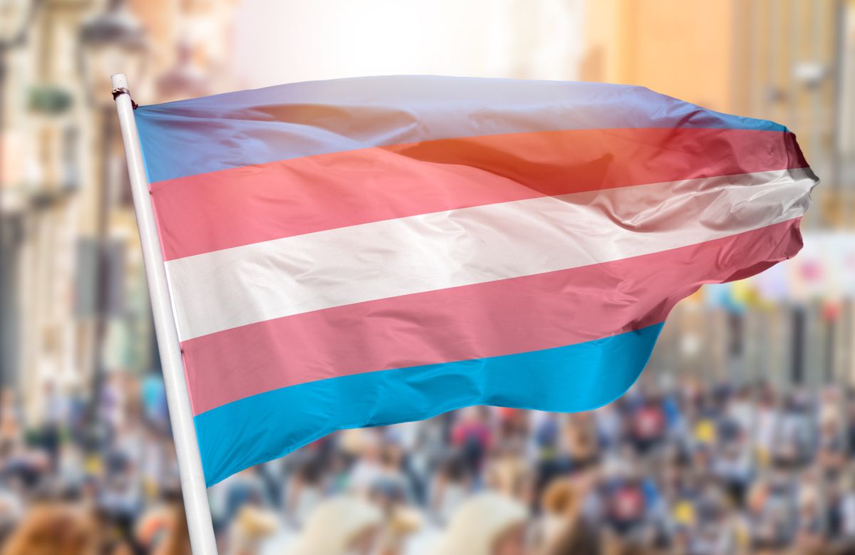 Bandeira trans