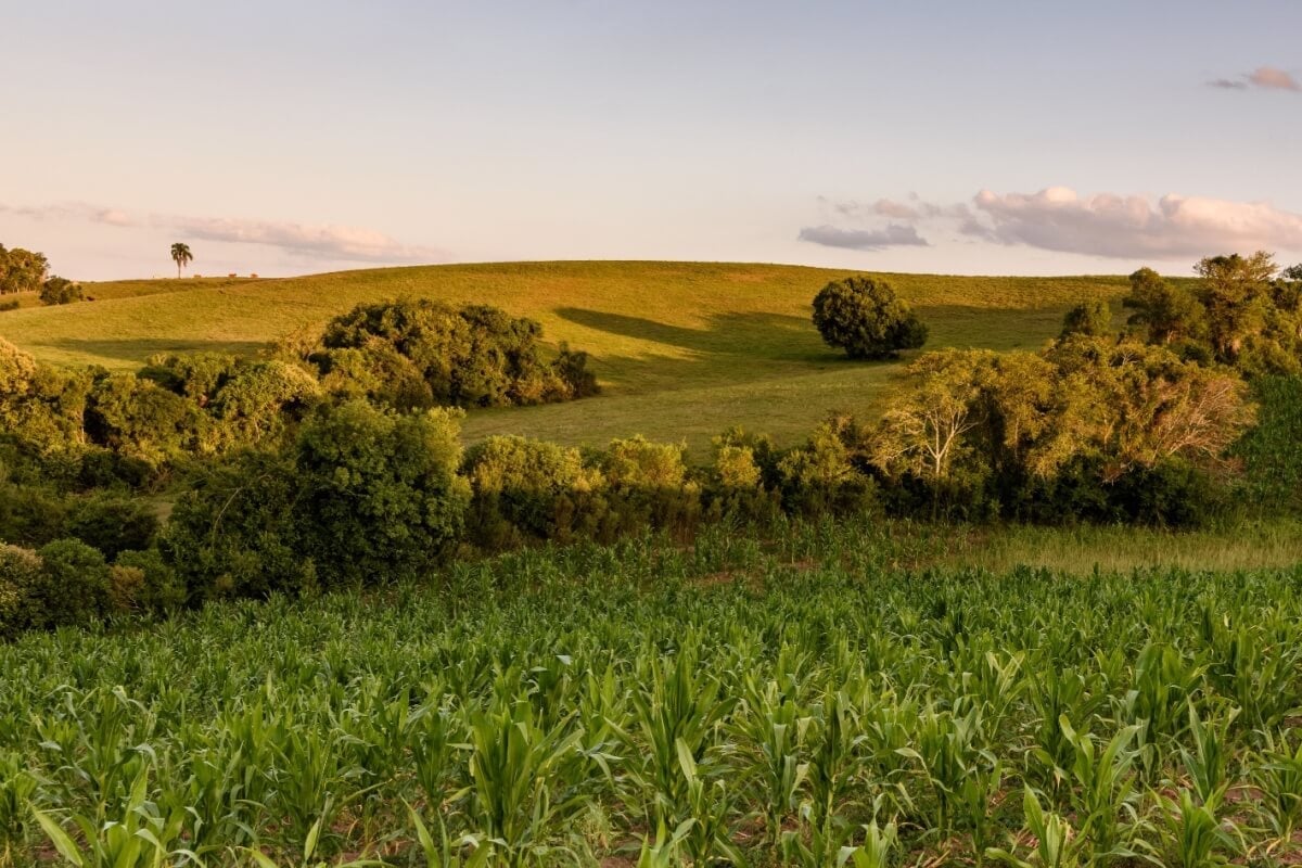 Na viagem com o Trem dos Pampas é possível conhecer a região da fronteira do Brasil com o Uruguai (Imagem: DR Moura | Shutterstock) por Imagem: DR Moura | Shutterstock