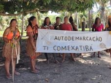 Imagem - Indígenas do sul da Bahia denunciam desmatamento e ameaças em área de aldeia