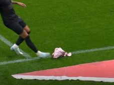 Imagem - Torcida do Corinthians arremessa cabeça de porco no gramado em clássico contra o Palmeiras