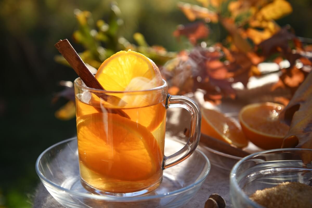 Chá de canela com laranja (Imagem: Maren Winter | Shutterstock) por Imagem: Maren Winter | Shutterstock