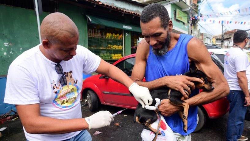 Imagem - Ministério da Saúde emite alerta nacional após caso de raiva humana