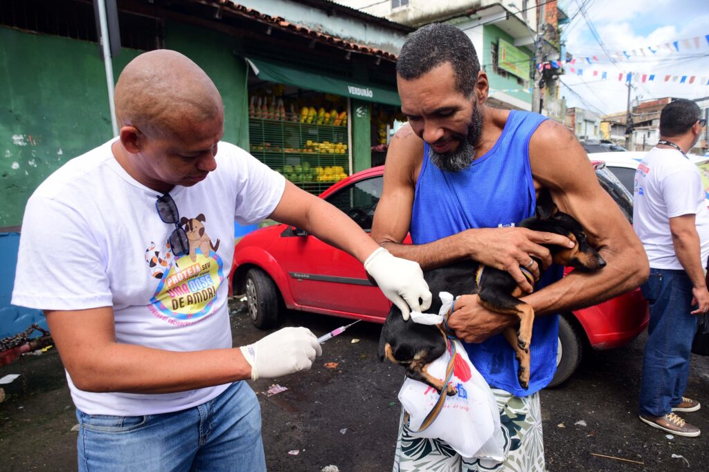 Alerta Nacional de Raiva Humana: Ministério da Saúde emite Notificação após Caso Confirmado