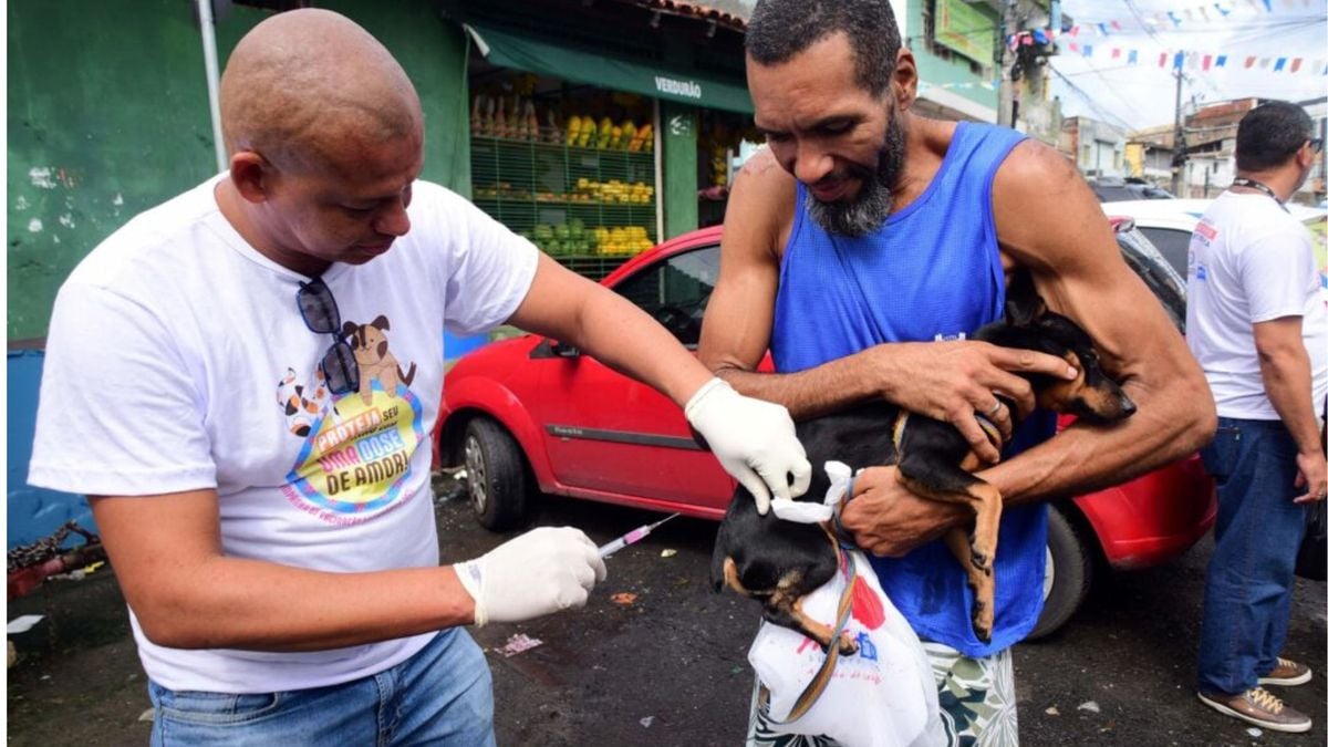 Vacinação é a principal forma de combate