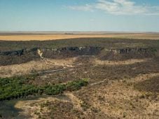 Imagem - Após cinco anos de aumento, desmatamento no Cerrado tem queda