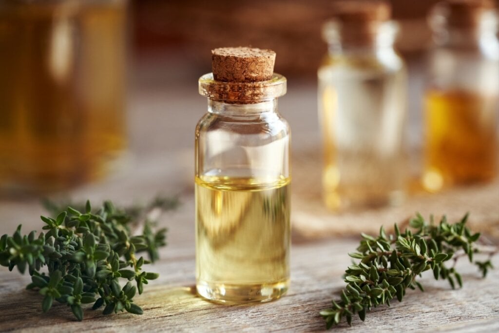 O tomilho auxilia no tratamento de doenças respiratórias (Imagem: Madeleine Steinbach | Shutterstock)