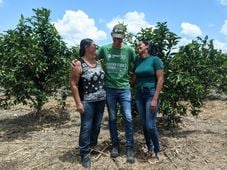 Imagem - Baiano passou a produzir 150 toneladas de laranja em três anos; conheça a história de produtores