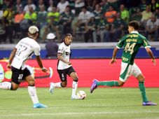 Imagem - Palmeiras x Botafogo: veja onde assistir, escalações e arbitragem