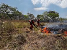 Imagem - Cerca de 960 focos de incêndio são debelados na Bahia