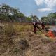 Imagem - Cerca de 960 focos de incêndio são debelados na Bahia