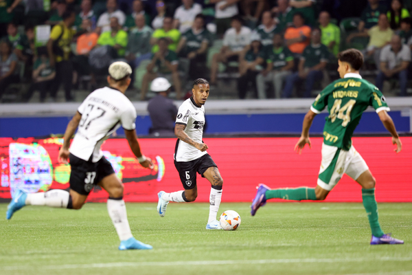 Botafogo e Palmeiras se enfrentam nesta terça-feira (26)