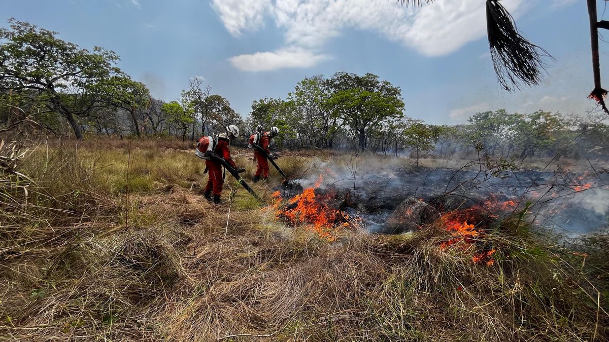 Incêndio debelado em Operação Florestal 2024