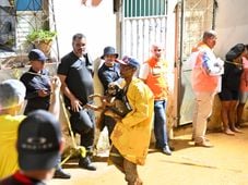 Imagem - Cão é resgatado de casa que foi atingida pela lama após chuvas em Saramandaia