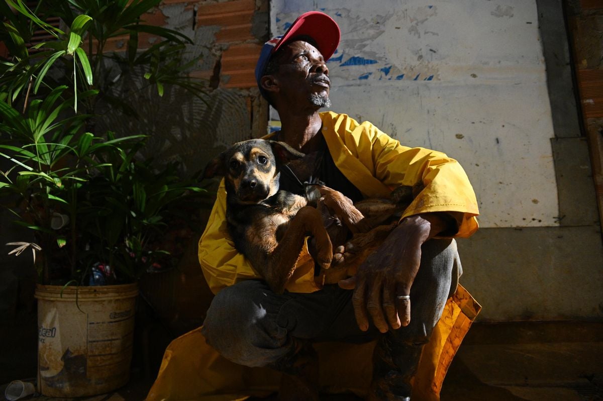 O ambulante Ailton e seu cachorro Jaguar, resgatado do deslizamento em Saramandaia