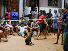 Imagem - Salvador e mais três cidades baianas decretam emergência pelas chuvas