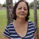 Imagem - Idosa de 73 anos morre após ser atacada por enxame de abelhas