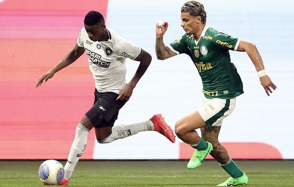 Botafogo e Palmeiras são os únicos dois times com chances de título no Brasileirão