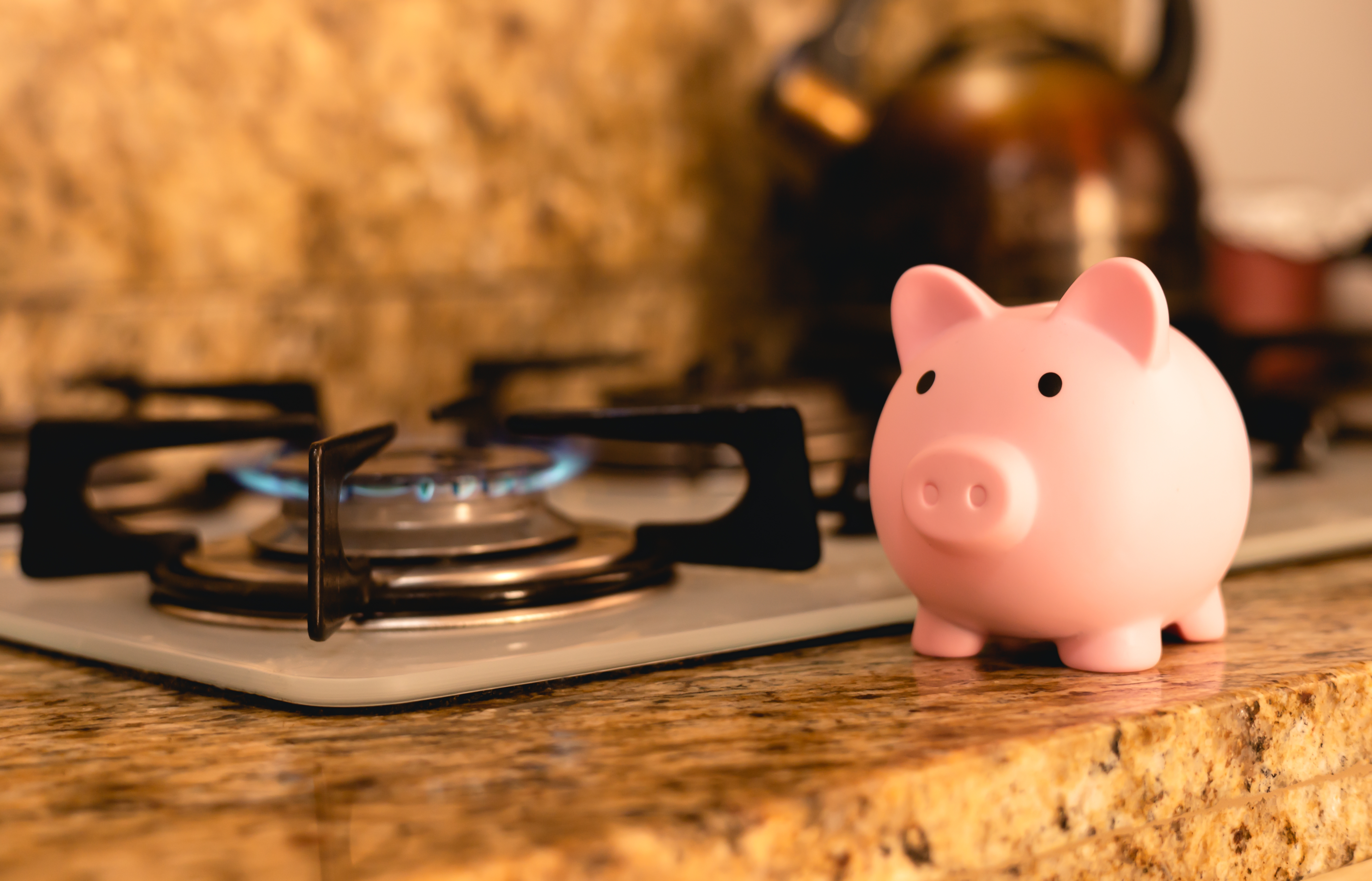 Como economizar o gás de cozinha por Shutterstock