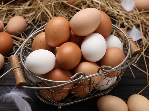 Imagem - Veja os riscos da dieta do ovo para a saúde física e mental