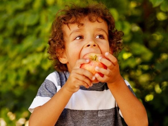 Imagem - 5 dicas para manter a boa alimentação das crianças nas férias