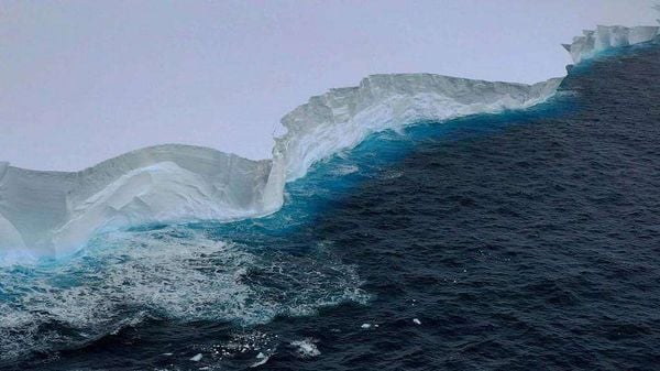 Iceberg