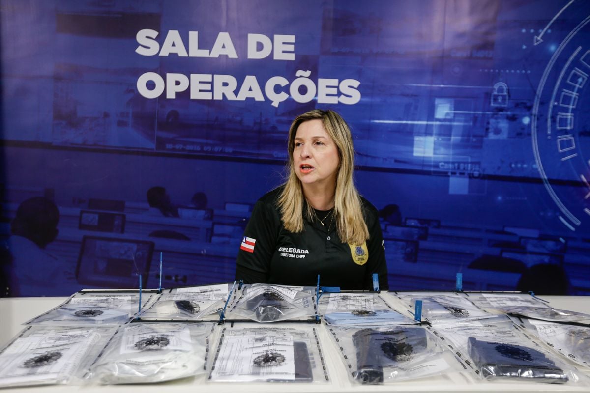 Delegada Andrea Ribeiro apresenta balanço da Operação Cidade de Palha