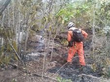 Imagem - Bombeiros combatem incêndios florestais na Chapada Diamantina