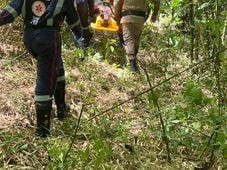 Imagem - Idoso é resgatado após 30 dias desaparecido em área de mata em São Francisco do Conde