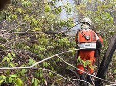 Imagem - Força-tarefa reúne mais de 50 bombeiros e aeronaves para combater incêndio na Chapada