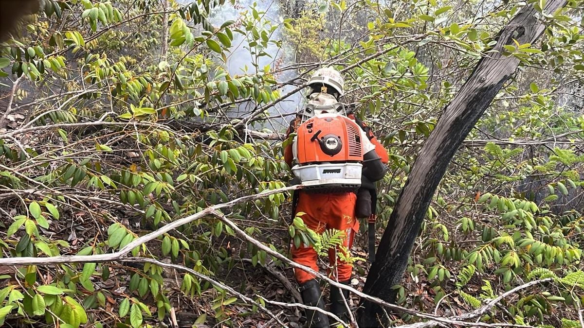 Mais de 50 bombeiros atuam na região