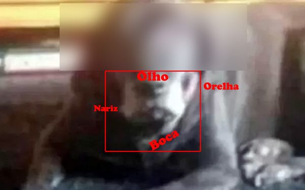 É possível enxergar rosto humano na foto