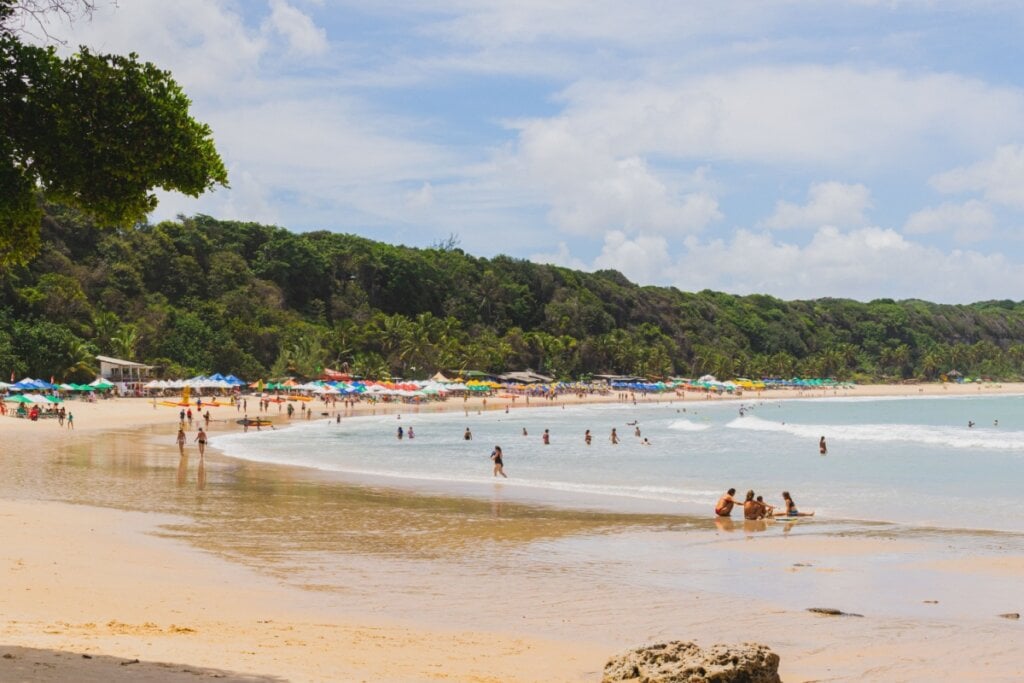 A Praia do Madeiro é famosa pela presença de golfinhos (Imagem: vMathz | Shutterstock)