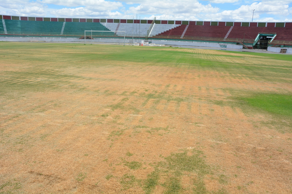 O gramado do Joia da Princesa vai passar por um processo de revitalização emergencial