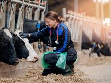 Imagem - Conselho de Medicina Veterinária  conquista inclusão de médicos-veterinários e zootecnistas no concurso da Embrapa