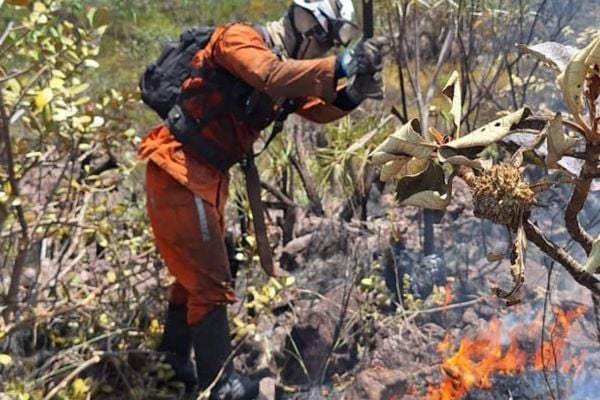 Bombeiros intensificam combate a incêndios florestais na Chapada Diamantina e outras regiões da Bahia