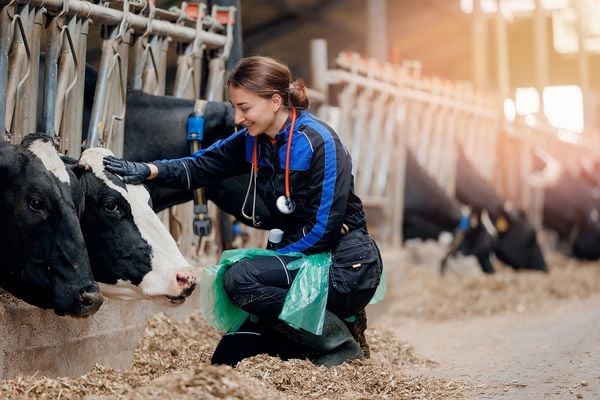 A Embrapa revisou o edital do concurso público e incluiu os profissionais da Medicina Veterinária e da Zootecnia como elegíveis para cargos 