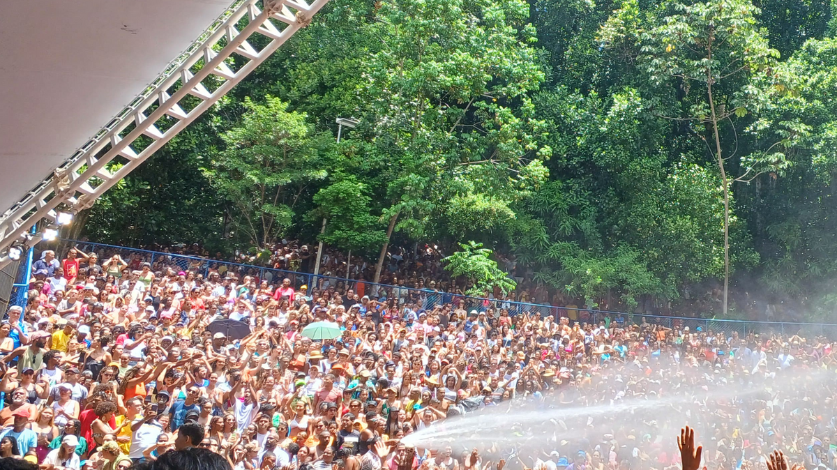 Público se protegendo entre as árvores