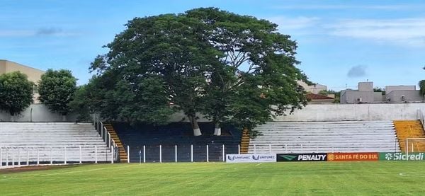 Árvore no estádio de Santa Fé