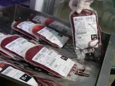 Imagem - STF confirma direito de recusar transfusão de sangue por religião