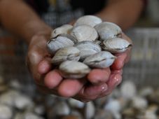 Imagem - Em pleno verão, lambreta está em falta nos bares e restaurantes de Salvador