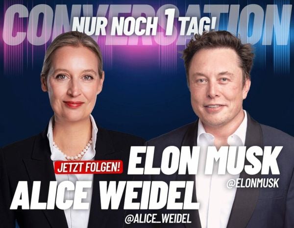 Alice Weidel e Elon Musk