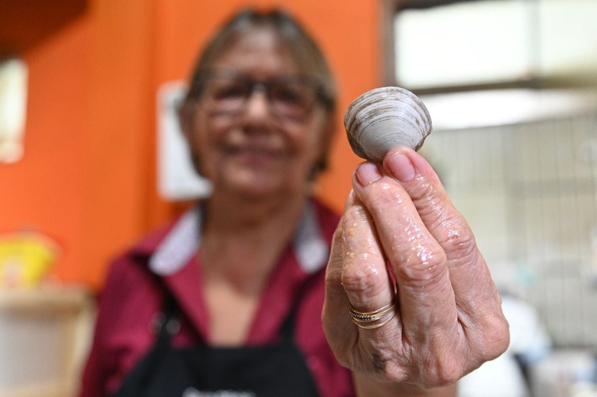 Quando encontrado, alimento é pequeno e não agrada os donos de restaurantes