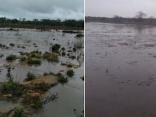 Imagem - Bahia tem 1.114 desabrigados e desalojados e registra ocorrências em 65 municípios