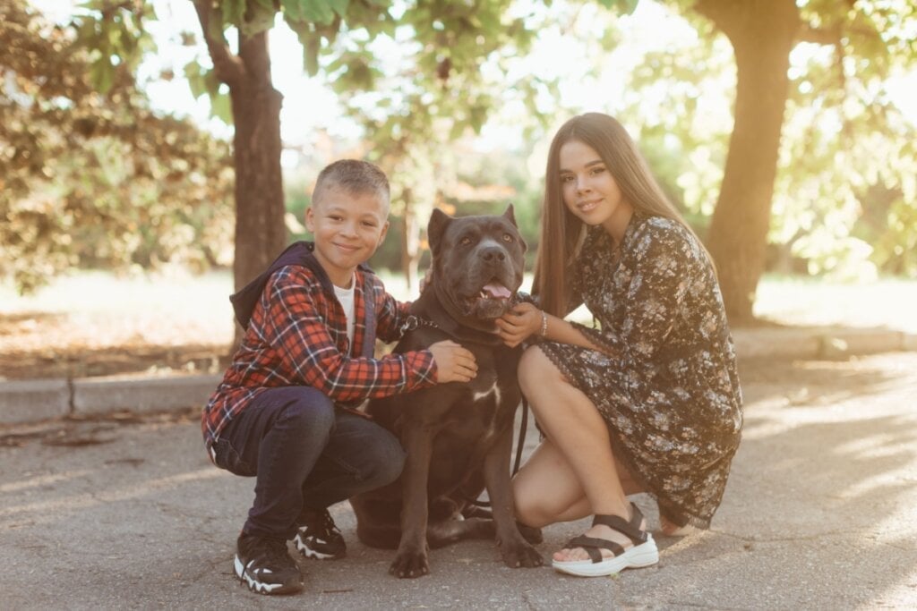 A socialização desde filhote é fundamental para garantir que o cane corso se torne um adulto equilibrado e amigável (Imagem: Forewer | Shutterstock)