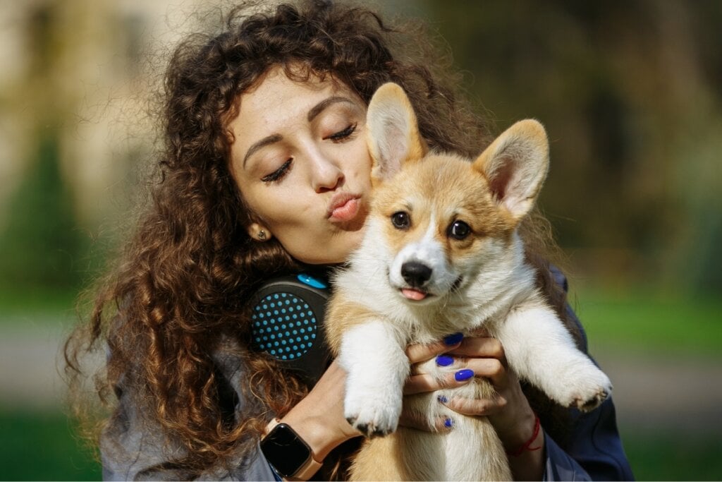 É importante respeitar o animal durante as interações (Imagem: andrii antonenko | Shutterstock)