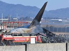 Imagem - Relatório confirma colisão de pássaros com motor do avião em acidente na Coreia do Sul