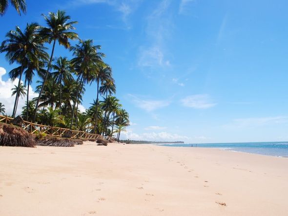 Imagem - 3 praias para conhecer na Península de Maraú